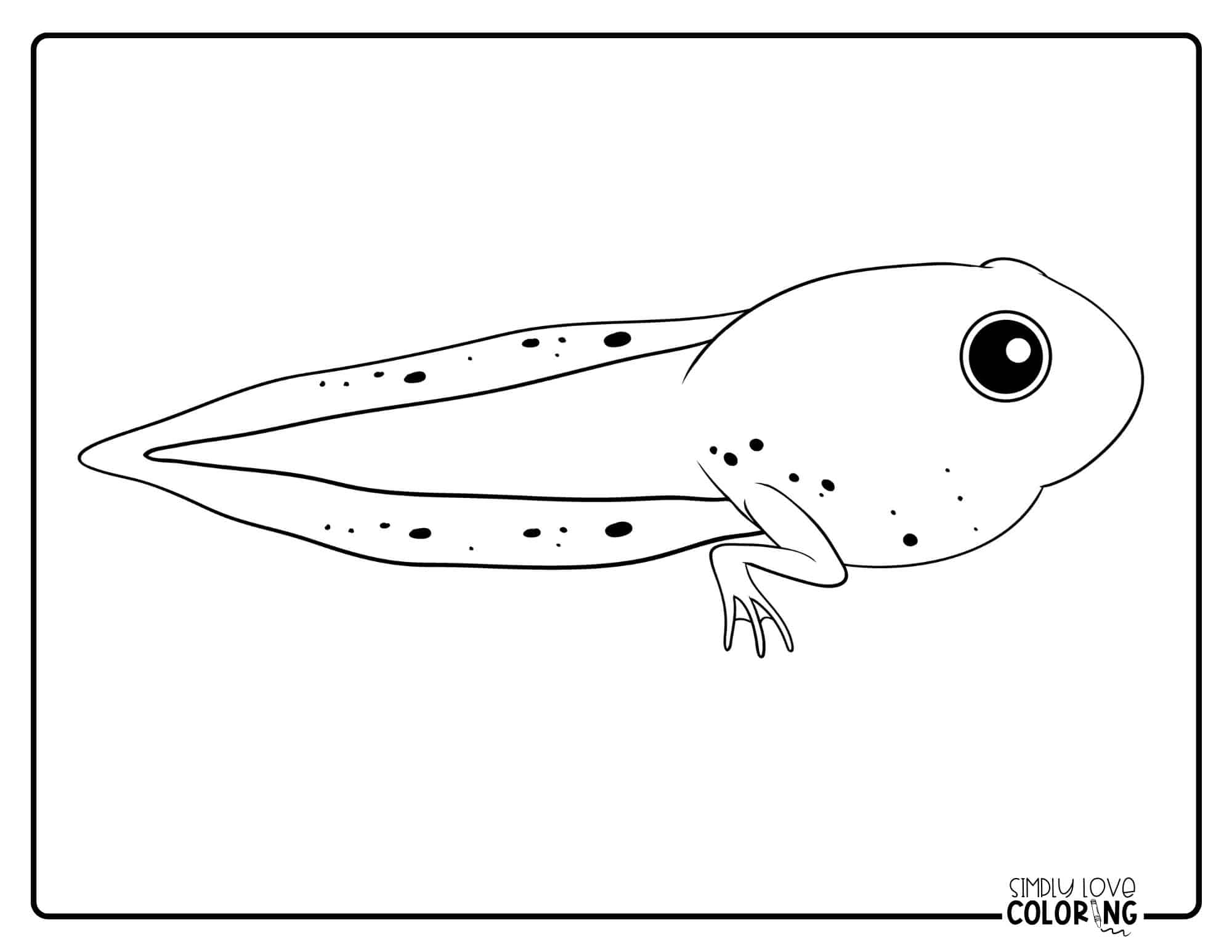 Tadpole Coloring Pages (Free PDF Printables) - Simply Love Coloring