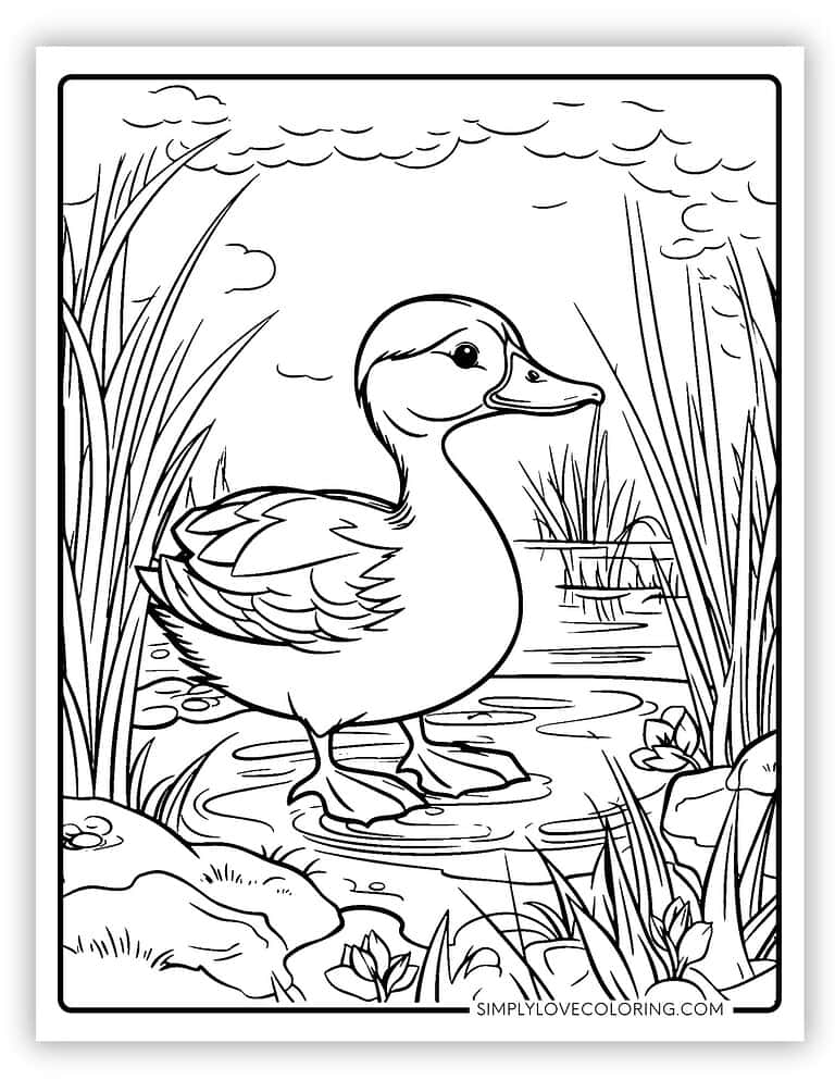 21 Duck Coloring Pages (Free PDF Printables) - Simply Love Coloring