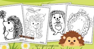 Hedgehog Coloring Pages (16 Free PDF Printables) - Simply Love Coloring