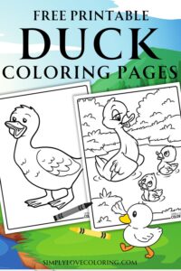 21 Duck Coloring Pages (Free PDF Printables) - Simply Love Coloring