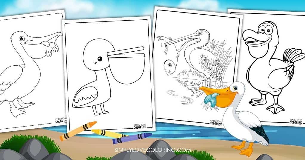 Pelican Coloring Pages (Free PDF Printables) - Simply Love Coloring