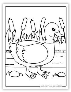 21 Duck Coloring Pages Free PDF Printables Simply Love Coloring