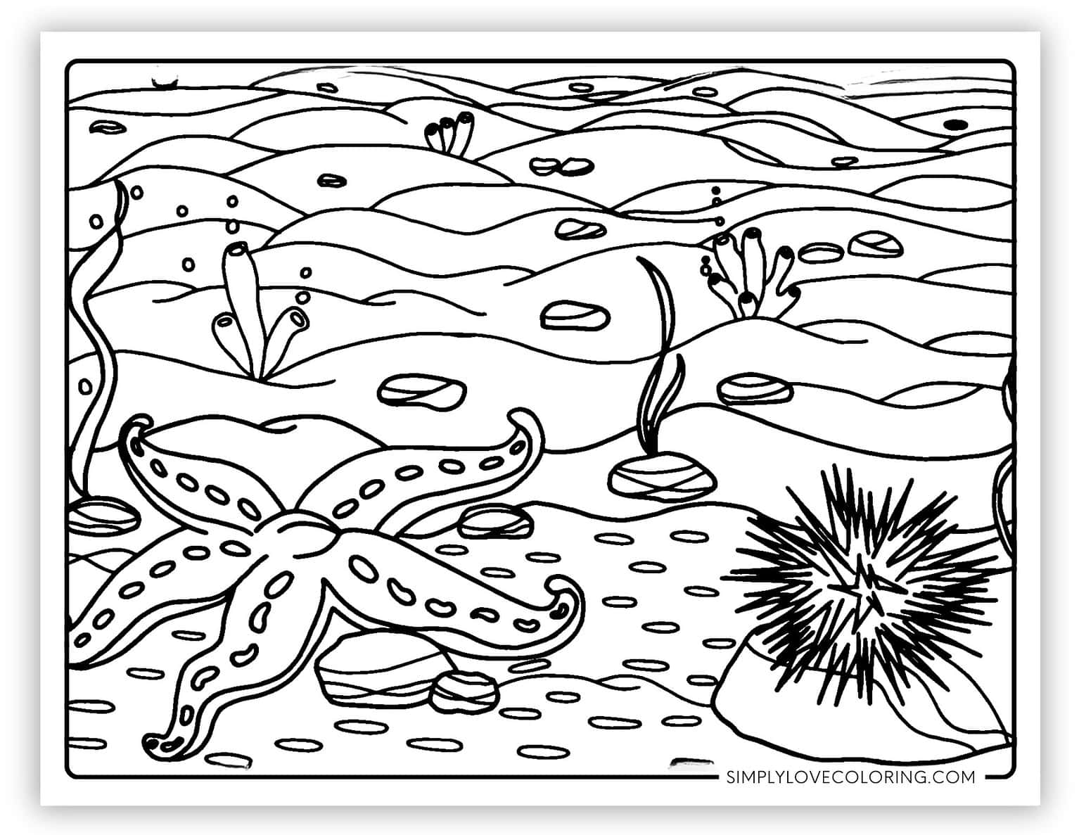 14 Starfish Coloring Pages (Free PDF Printables) - Simply Love Coloring
