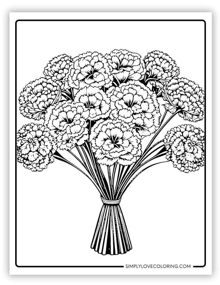 15 Carnation Flower Coloring Pages (Free PDF Printables) - Simply Love