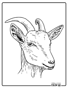 Goat Coloring Pages (Free PDF Printables) - Simply Love Coloring