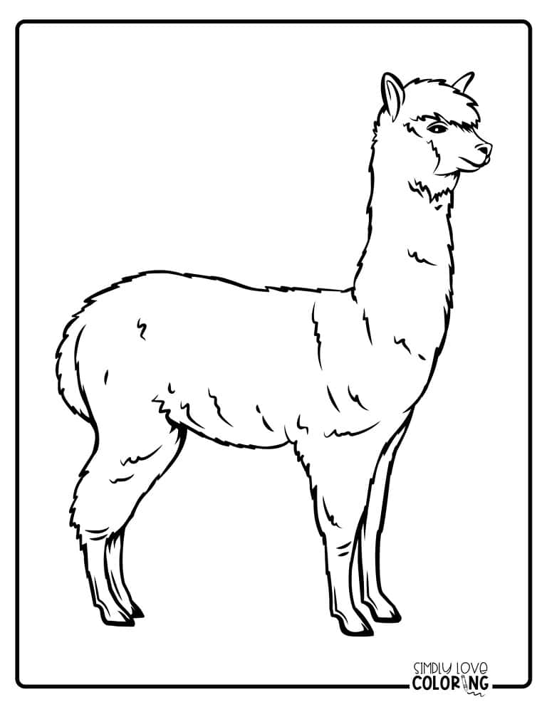 19 Llama Coloring Pages (Free PDF Printables) - Simply Love Coloring