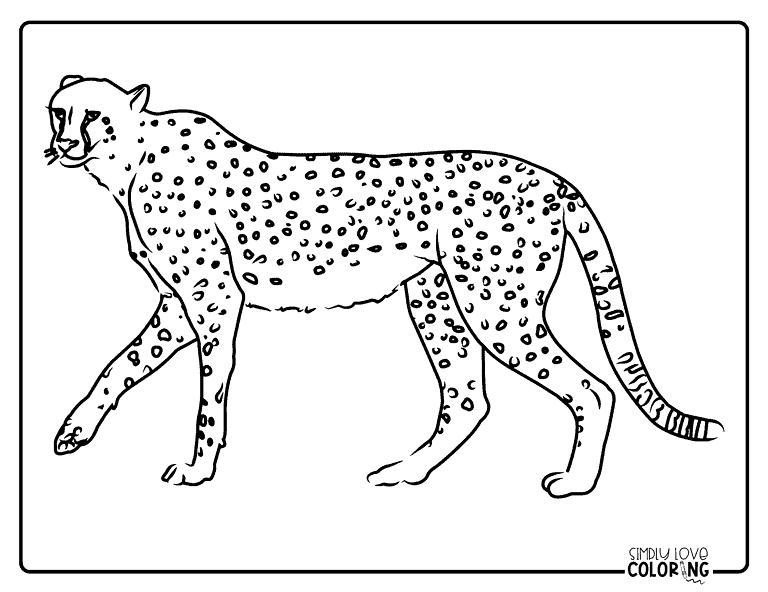 24 Leopard Coloring Pages (Free PDF Printables) - Simply Love Coloring