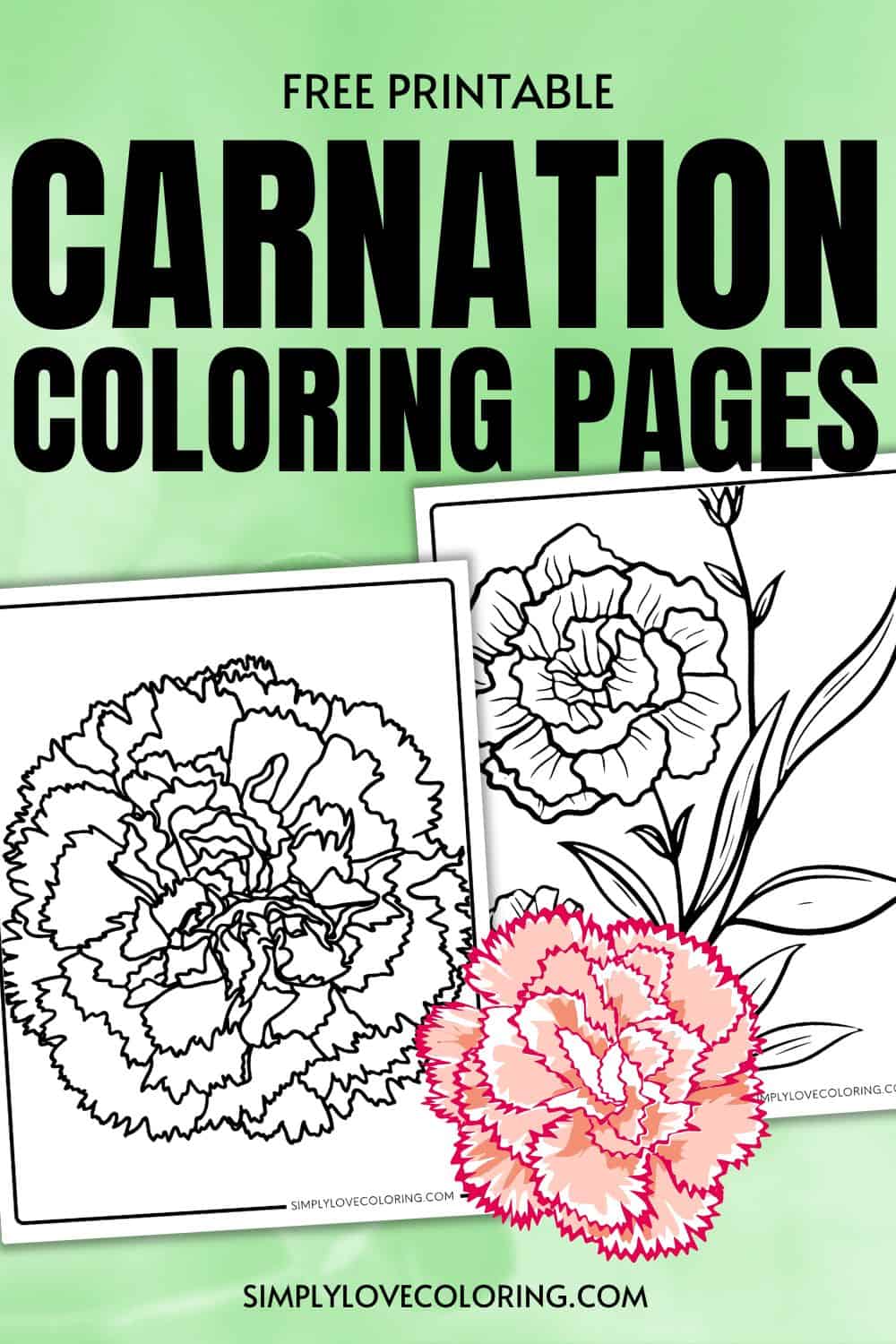 15 Carnation Flower Coloring Pages (Free PDF Printables) Simply Love
