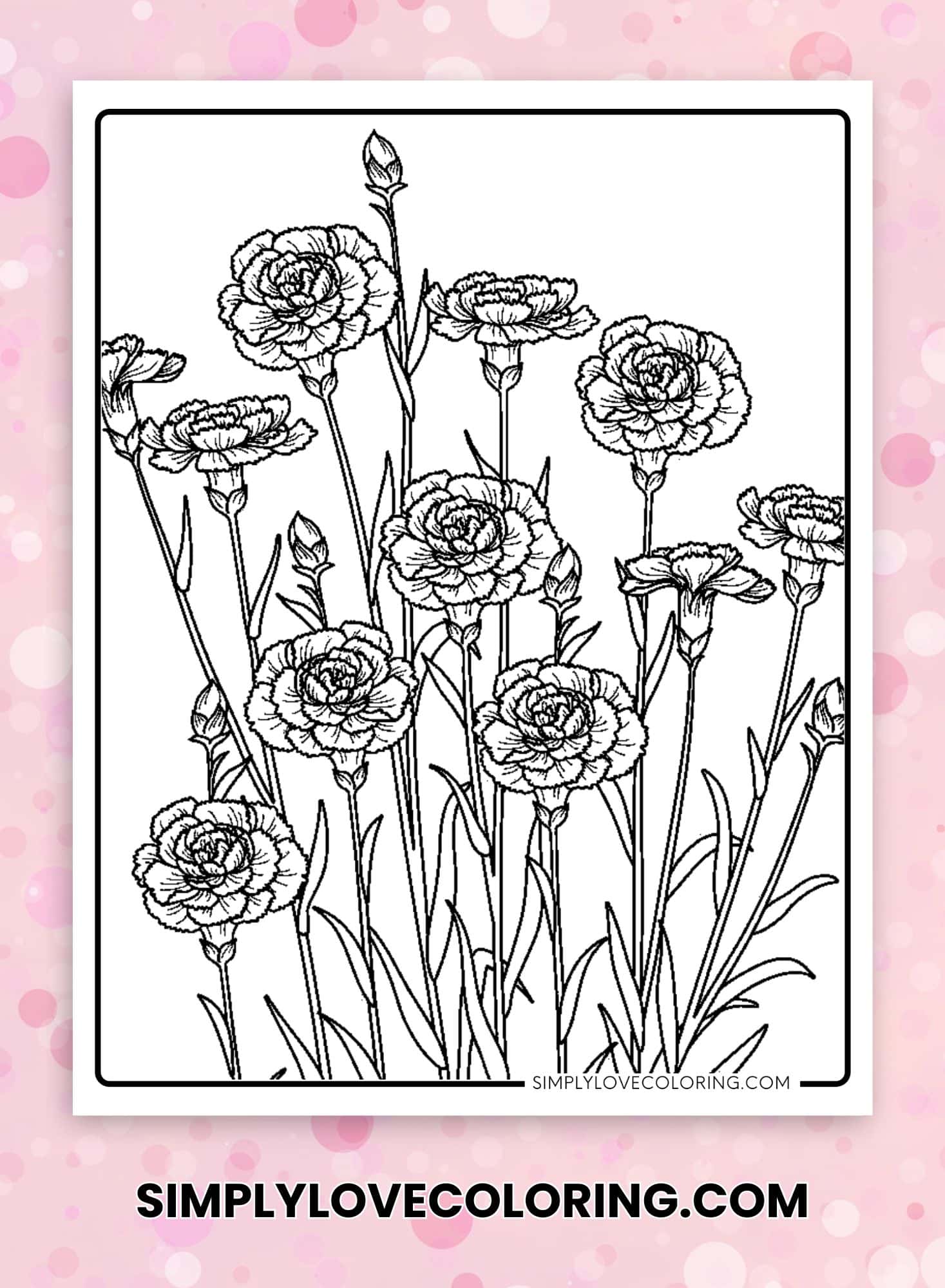 15 Carnation Flower Coloring Pages (Free PDF Printables) Simply Love