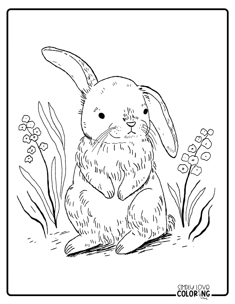 Rabbit Coloring Pages (Free PDF Printables) - Simply Love Coloring