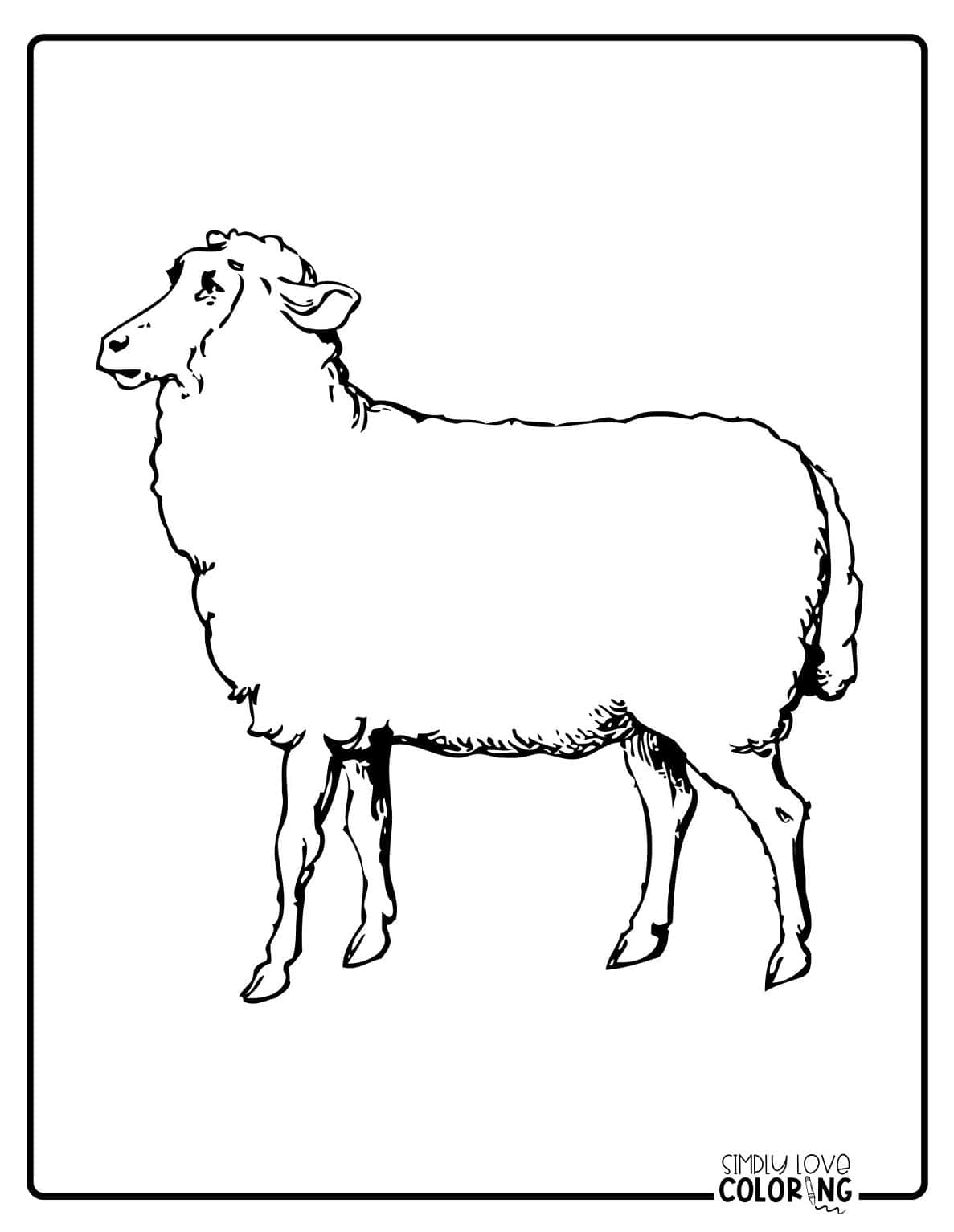 20 Sheep Coloring Pages (Free PDF Printables) - Simply Love Coloring