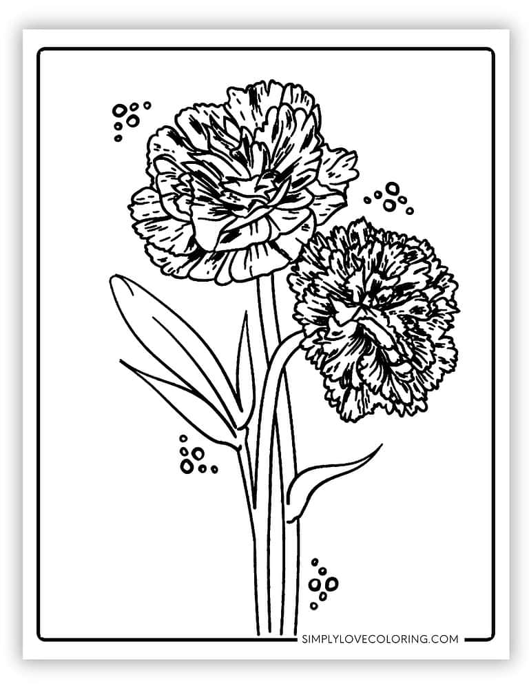 15 Carnation Flower Coloring Pages (Free PDF Printables) Simply Love