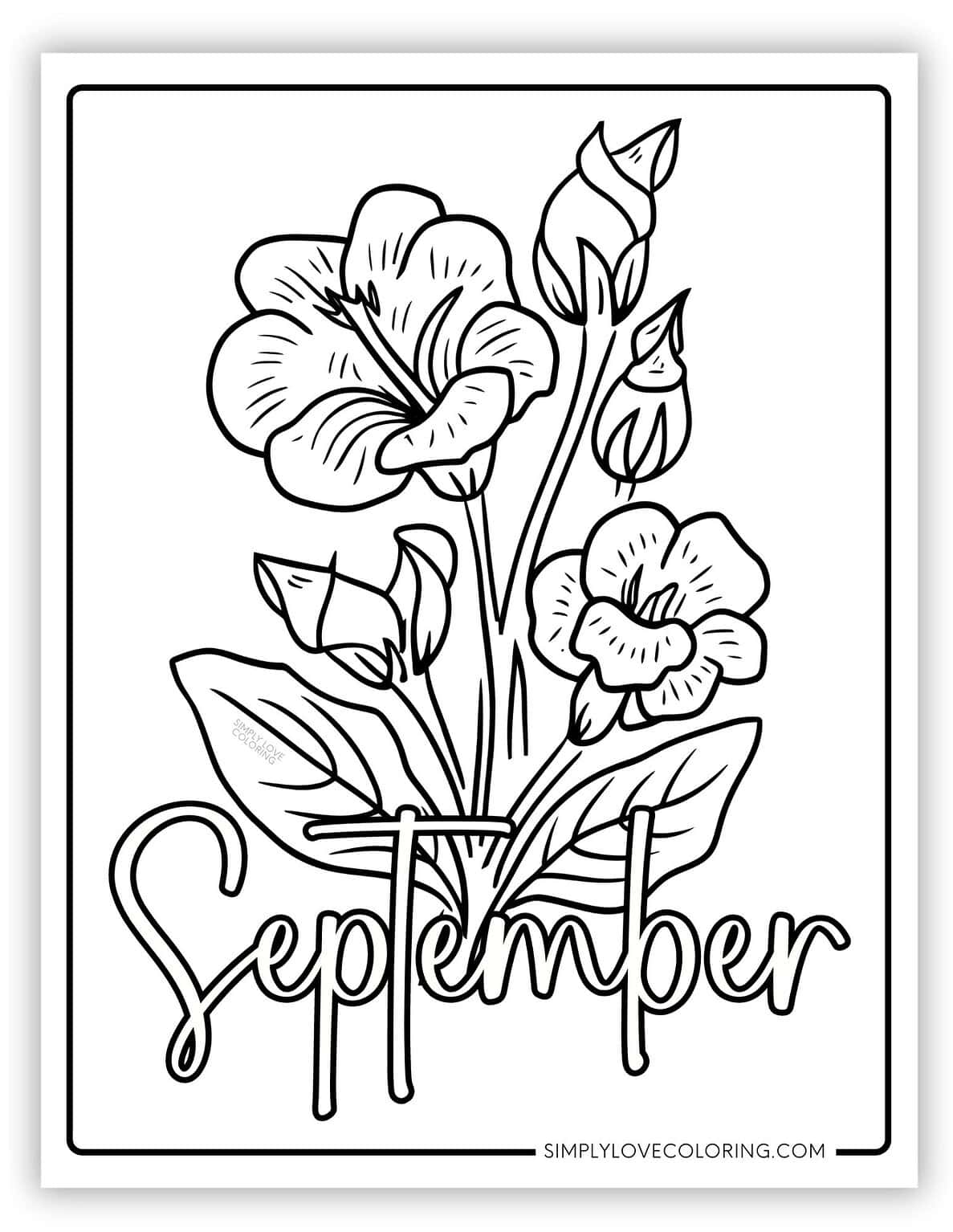 September Coloring Pages Free - Morning Glory September Birth Flower September Coloring Pages 1187x1536 
