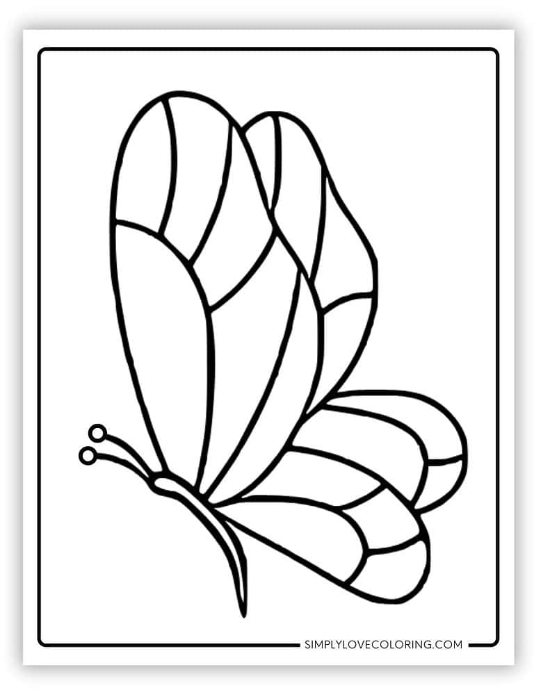 Butterfly Templates (Free PDF Downloads) - Simply Love Coloring
