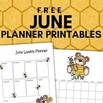 june planner printables pinterest image