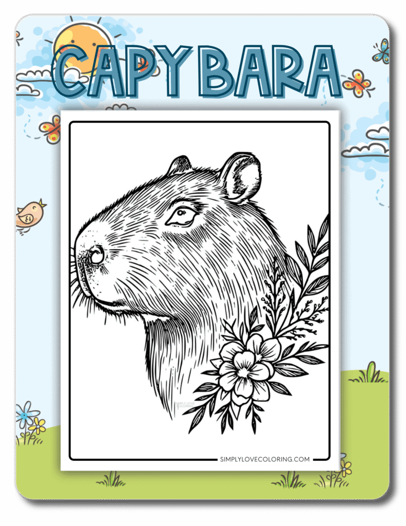 Capybara category page image