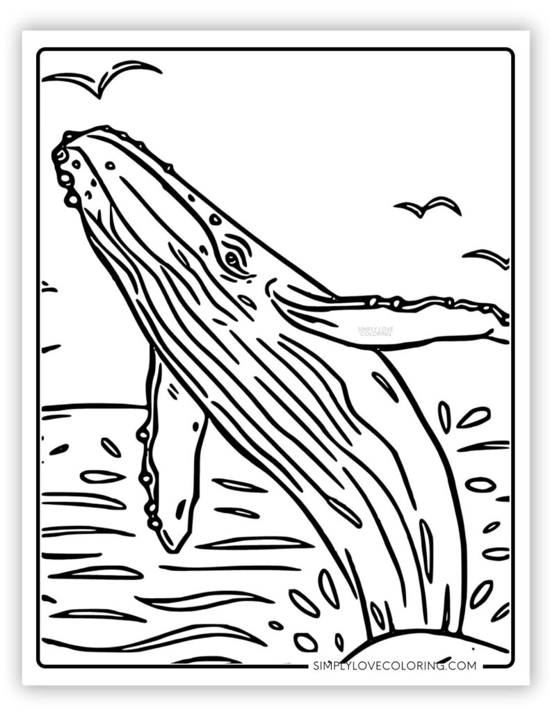Humpback Whale Sea Creatures Coloring Page