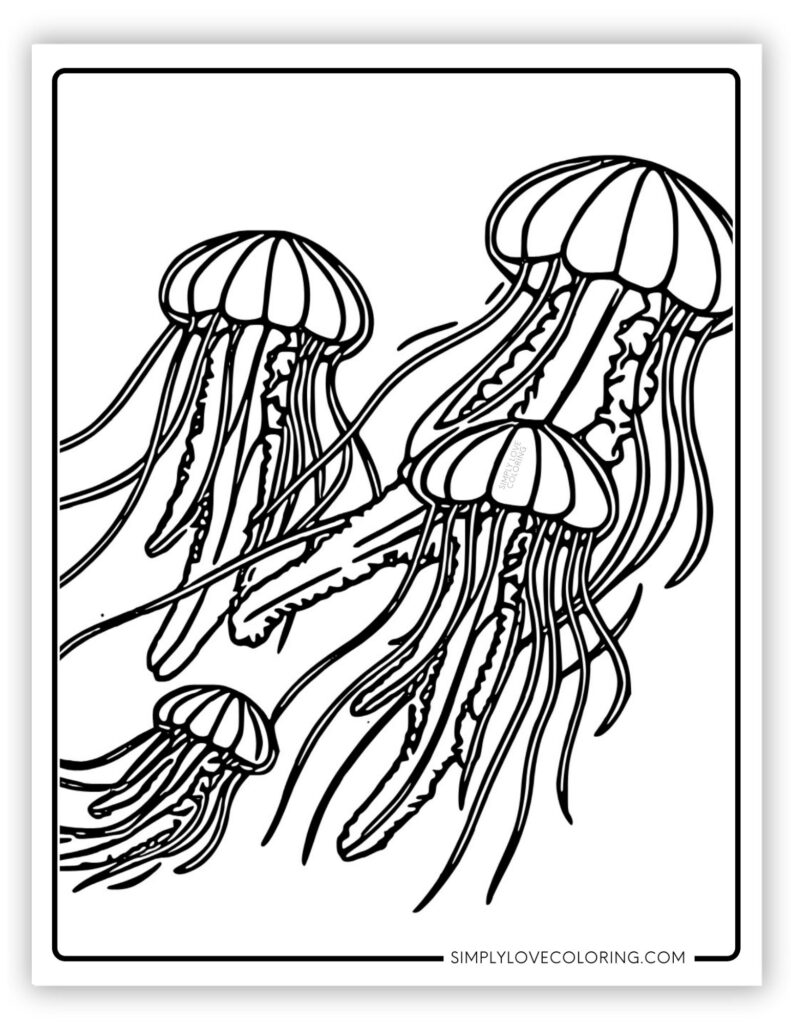 Jellyfishes Sea Creatures Coloring Page