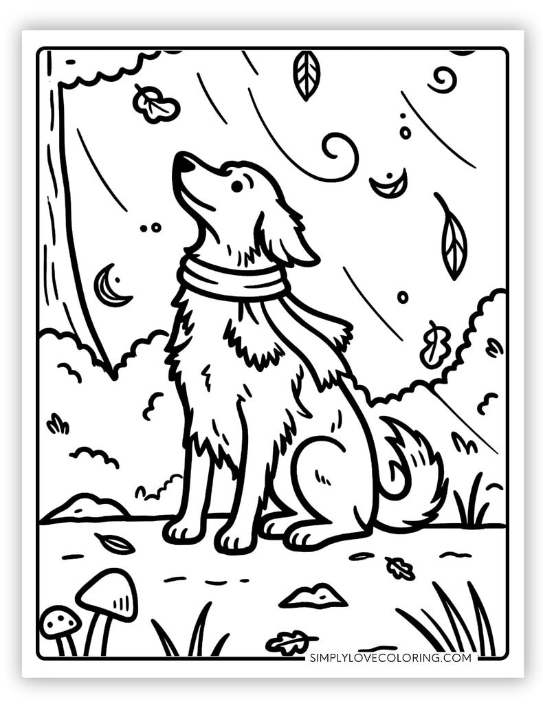 Cute Dog Looking at the Fall Leaves Falling
