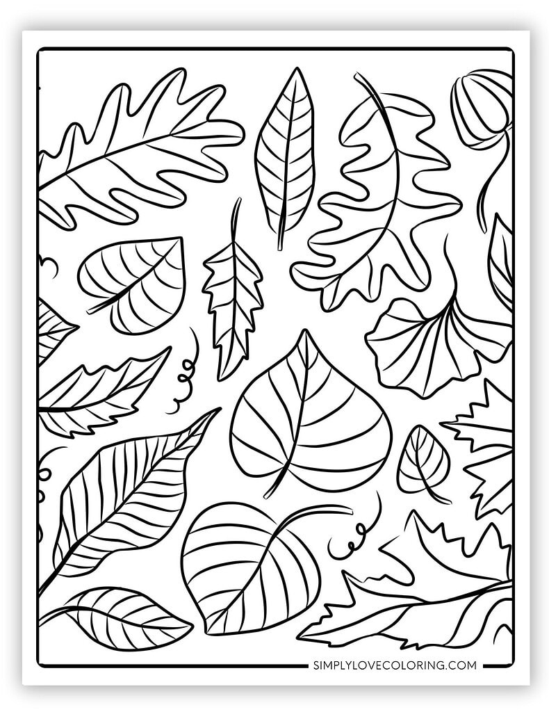Variety of Fall Leaves
