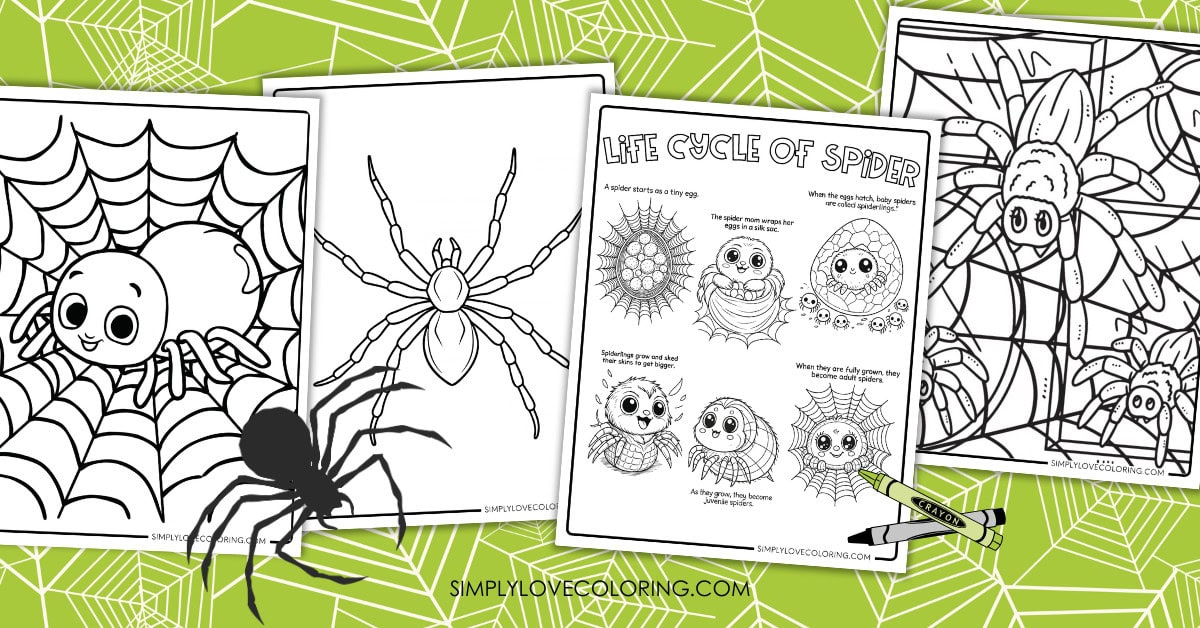 Spider Coloring Pages